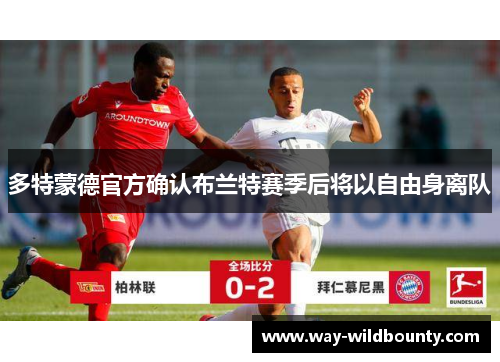 多特蒙德官方确认布兰特赛季后将以自由身离队 多特蒙德官方确认布兰特赛季后将以自由身离队