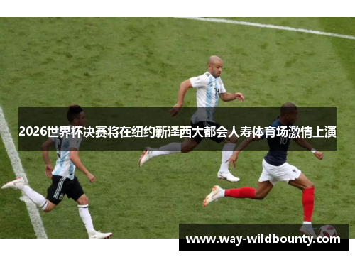 2026世界杯决赛将在纽约新泽西大都会人寿体育场激情上演