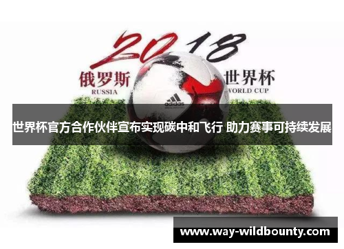 世界杯官方合作伙伴宣布实现碳中和飞行 助力赛事可持续发展 世界杯官方合作伙伴宣布实现碳中和飞行 助力赛事可持续发展