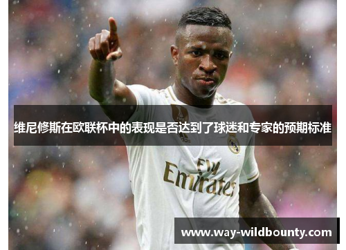 维尼修斯在欧联杯中的表现是否达到了球迷和专家的预期标准