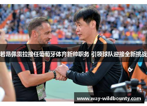 若昂佩雷拉接任葡萄牙体育新帅职务 引领球队迎接全新挑战
