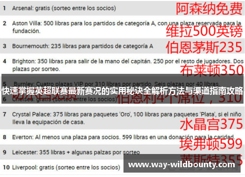 快速掌握英超联赛最新赛况的实用秘诀全解析方法与渠道指南攻略