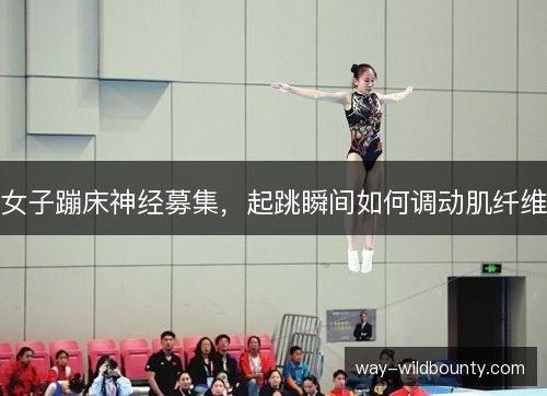 女子蹦床神经募集，起跳瞬间如何调动肌纤维